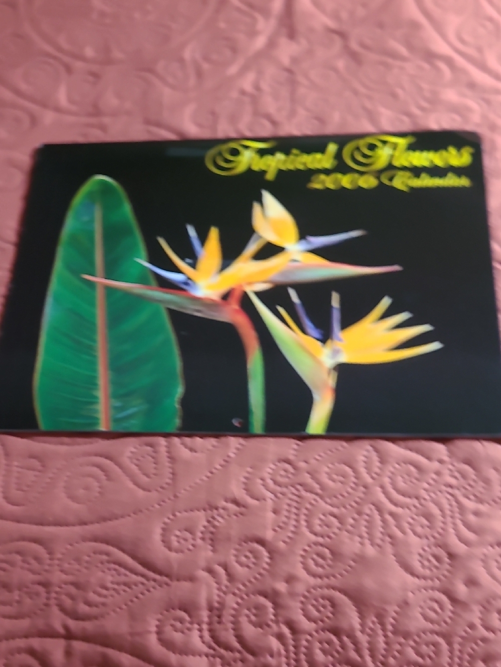Tropical Flowers Wall Art Calendar - Black, Green, Yellow, Bought In Hawaii